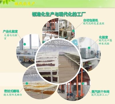 【同享】食品嶺南特色廣式加應(yīng)子蜜餞果脯涼果類零食125g&times;10【全國(guó)包郵】